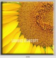 /album/photo-gallery-canvas-uri/decoratiuni-de-perete-canvas-lc-0058-jpg/